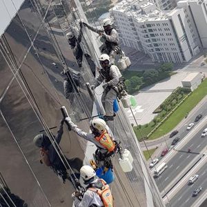 Dubia, Window cleaning